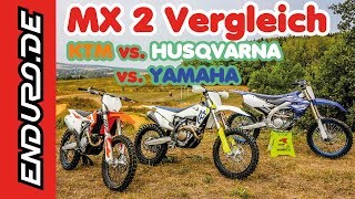 MX2 Vergleichstest 2019 [upl. by Leibarg]