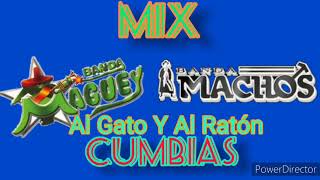 BANDA MACHOS VS BANDA MAGUEY MIX CUMBIAS [upl. by Mace17]