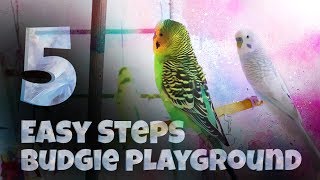 5 Easy Steps to Build your Custom Budgie Playground [upl. by Richy]