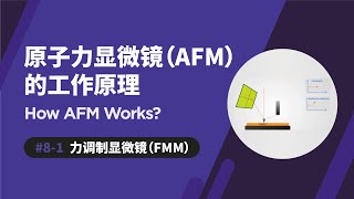 力调制显微镜 FMM  原子力显微镜如何运作  How AFM Works [upl. by Lansing]