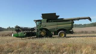 Harvest 2024  John Deere S785 Combine Harvester Cutting OSR [upl. by Ahsilat]