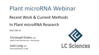 Webinar  Recent Work amp Current Methods in Plant microRNA Research [upl. by Chapa]