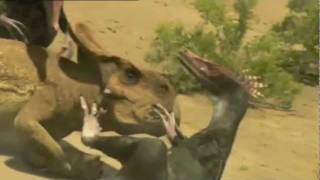 A Epic Battle of Velociraptor vs Protoceratops [upl. by Nette]