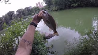 Bass Fishing in The Concrete Jungle Central Park Pea Soup Water [upl. by Ardnahs552]