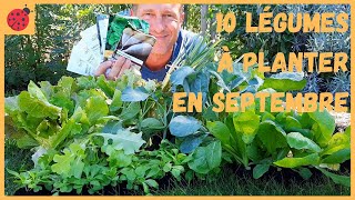 10 légumes à planter en septembre au potager [upl. by Thornie]