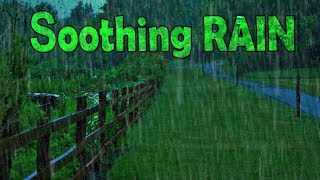 🎧 Fall Asleep with Soothing Rain Sounds  Ambient Noise For Sleeping Ultizzz day55 [upl. by Palladin841]