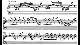 JS Bach Chromatic Fantasia and Fugue in d minor BWV 903 Schiff [upl. by Audly15]