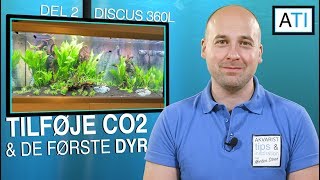 CO2 og de første dyr  Discus akvarie 360 liter del 2 [upl. by Colline772]