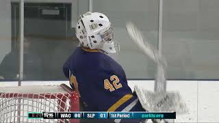 Waconia vs St Louis Park Boys Hockey Jan 18 2024 [upl. by Oemac294]