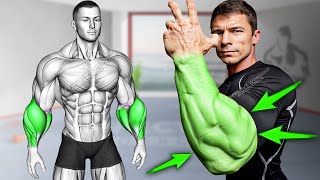 5 Best Exercises for Bigger Forearms Workout [upl. by Eked639]