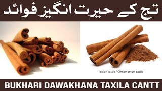 Amazing Health Benefits of Taj  Benefits amp Uses  تج کے حیرت انگیز فوائد [upl. by Tamberg695]