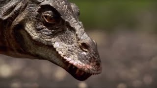 Hunting with a TRex  Walking with Dinosaurs in HQ  BBC Earth [upl. by June]