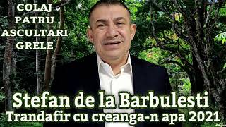 Stefan de la Barbulesti ❌ Trandafir cu creangan apa 2021 COLAJ PATRU ASCULTARI GRELE FARA DEDICATII [upl. by Toh]