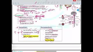 PNS Pharmacology Parasympathomimetic Mutah [upl. by Errot800]