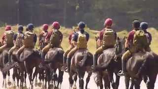 The Blues and Royals and The Life Guards on Holkham Beach 2015 10 [upl. by Aikem508]