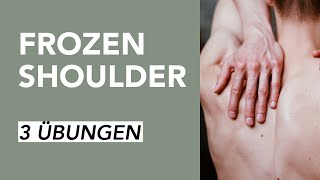 Übungen für Schulterschmerzen bei Frozen Shoulder  Liebscher amp Bracht [upl. by Lahcim]