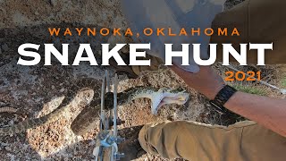 Rattlesnake Hunt 2021 – Waynoka Oklahoma [upl. by Heiskell]