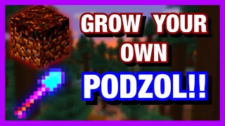 How To Grow Your Own Podzol In Minecraft [upl. by Sined]