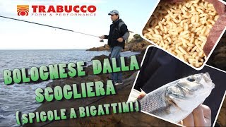 Trabucco TV  Canna bolognese dalla scogliera [upl. by Dicky731]