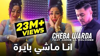 Cheba Warda ft Amine La Colombe  Ana Machi Bayra 2023 شابة وردة وامين الكولومب  انا ماشي بايرة [upl. by Ressan]