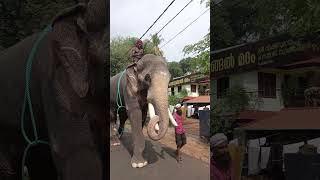 രാമരാജാവിന് പ്ലാസ്റ്റിക് കയർ തന്നെ ധാരാളം ഏകഛത്രാധിപതി തെച്ചിക്കോട്ടുകാവ് രാമചന്ദ്രൻ shorts raman [upl. by Hollie]