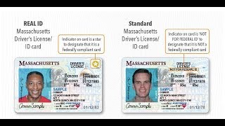 Massachusetts RMV changes Real ID vs Standard ID [upl. by Lawley]