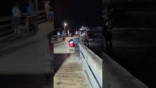 The Rodanthe Fishing Pier on the Outer Banks of North Carolina USA beach ocean fishing pier [upl. by Eenitsed]