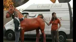 Présentation de la Méthode ALLURES Comment juger si votre selle convient à votre cheval [upl. by Nore]