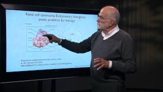 74 Cancer as an Evolutionary Process Phylogenetics [upl. by Martinic]