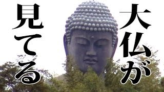 牛久大仏がこっち見てる Ushiku Great Buddha is looking [upl. by Lewse]