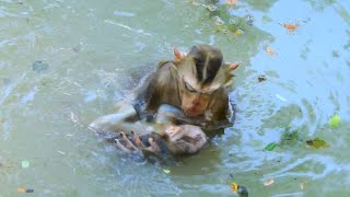 OMGYoung Mum Luna Bring Baby Lucie To Swimming So Long Distance Till Lucie Cyanosis [upl. by Ulrica]