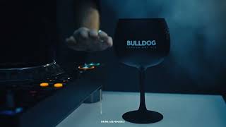 Liquid Beats Bulldog Gin x C2C Festival [upl. by Coke126]