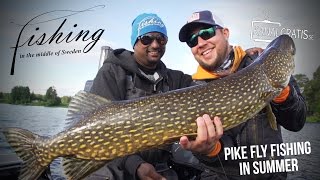 Fishing in the Middle of Sweden  Pike Fly Fishing in the Summer  Kanalgratisse [upl. by Hardden]