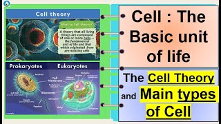 Science 7 Cell Theory and kinds of cells [upl. by Shelman25]