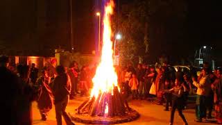 Bonfire to celebrate Lohri festival [upl. by Yslehc]