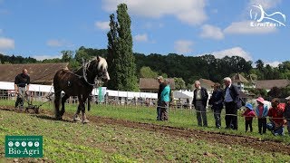 BIOAGRI 2018 LINTEGRALE D’ESPRITRAIT [upl. by Eanad]