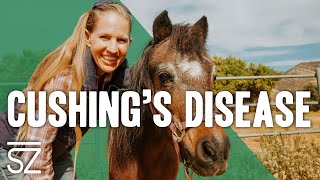 How to Manage Cushings Disease in Horses and Mini Horses [upl. by Madelaine]