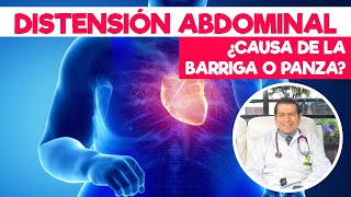 Distensión Abdominal ¿causa de la barriga o panza Dr Javier E Moreno [upl. by Oilisab347]