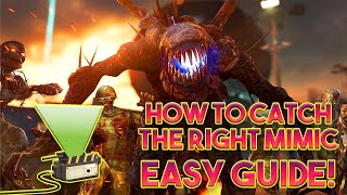 HOW TO DO THE ESSENCE TRAPMIMIC STEP ITS SO EASY FIREBASE Z COLDWAR ZOMBIES MIMIC LOCATIONS [upl. by Niroht]