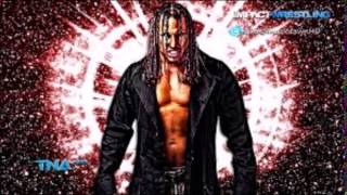 Matt Hardy  Rogue And Cold Blooded  TNA Theme Song 20112014 [upl. by Akimaj]