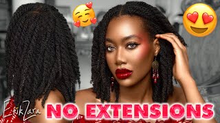 HowTo Bulky Natural Mini Twists NO EXTENSIONS  SUPER DETAILED for Fine Hair Too  EfikZara [upl. by Naida]