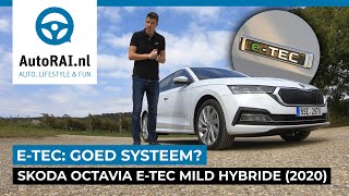 Skoda Octavia eTEC mild hybride Octavia 2020  AutoRAI TV [upl. by Goodson213]