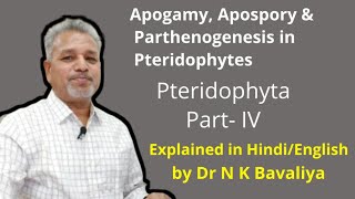 Apogamy Apospory amp Parthenogenesis in Pteridophytes Explained by Dr N K Bavaliya [upl. by Nawek396]