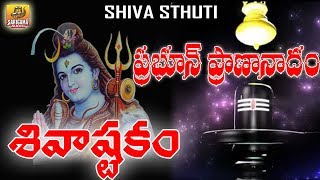 Prabhum Prananatham Vibhum Vishwanatham  Shiva ashtakam  Shiva Stuti Telugu  Shiva Stotram [upl. by Oidacra215]