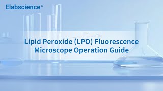 Lipid Peroxide LPO Fluorescence Microscope Operation Guide [upl. by Aihsad173]