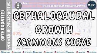 Cephalocaudal growth gradient  Scammons curve  Dr Paridhi Agrawal [upl. by Kramal62]