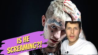 Lil Peep Honestly Reaction  Metalhead Reacts to Lil Peep [upl. by Hoffer721]