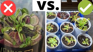 The Complete Venus Flytrap Indoor Care Guide 🌱 [upl. by Anav775]