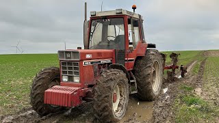 LA BOURE AVEC UN 1056xl ET UN JOHN DEERE 6155m [upl. by Cl]