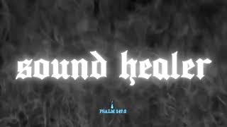 Crudo Means Raw  Sound Healer  Lyric Video [upl. by Husein]